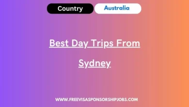 Best Day Trips From Sydney