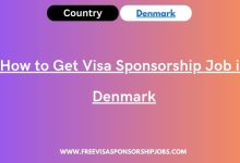 How to Get Visa Sponsorship Job in Denmark