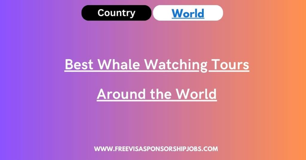 Best Whale Watching Tours Around the World
