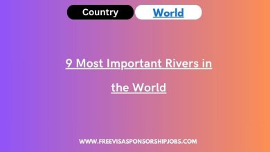 9 Most Important Rivers in the World