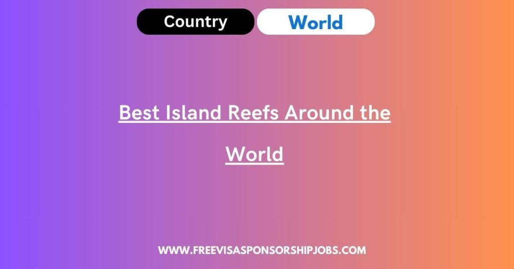 Best Island Reefs Around the World