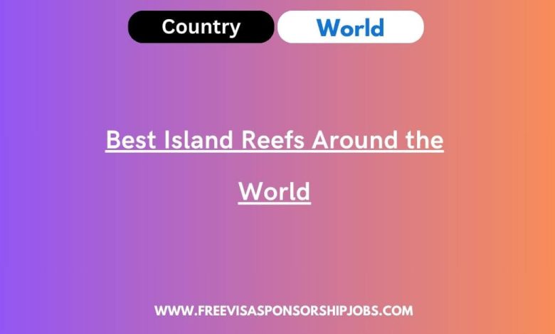 Best Island Reefs Around the World