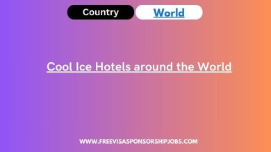Cool Ice Hotels around the World