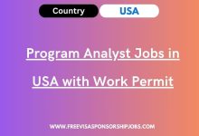 Program Analyst Jobs in USA with Work Permit