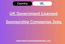 UK Government Licensed Sponsorship Companies Jobs