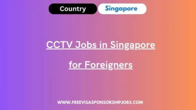 CCTV Jobs in Singapore for Foreigners