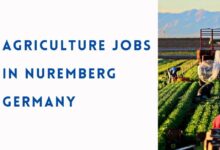 Agriculture Jobs in Nuremberg Germany