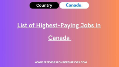 Top Highest-Paying Jobs in Canada