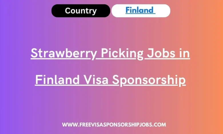 Strawberry Picking Jobs in Finland