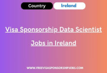 Visa Sponsorship Data Scientist Jobs in Ireland