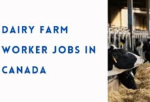 Dairy Farm Worker Jobs in Canada