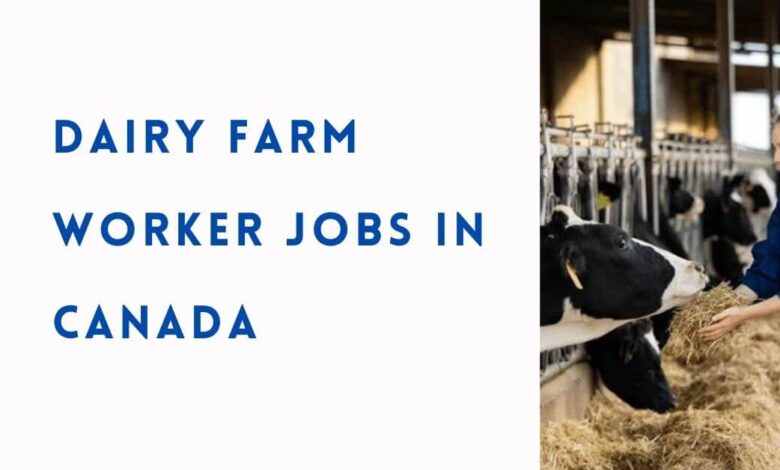 Dairy Farm Worker Jobs in Canada