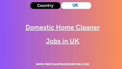 Domestic Home Cleaner Jobs in UK