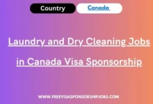 Laundry and Dry Cleaning Jobs in Canada