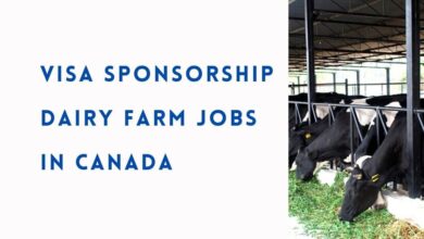 Visa Sponsorship Dairy Farm Jobs in Canada