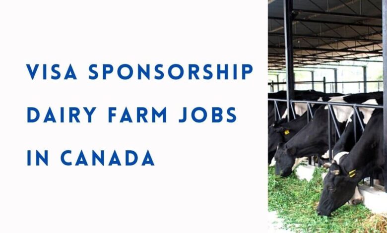 Visa Sponsorship Dairy Farm Jobs in Canada