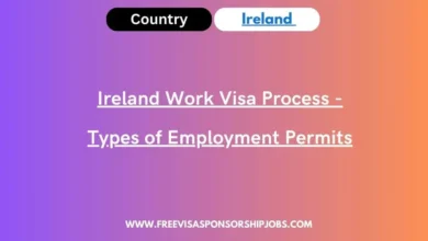 Ireland Work Visa Process - Types of Employment Permits