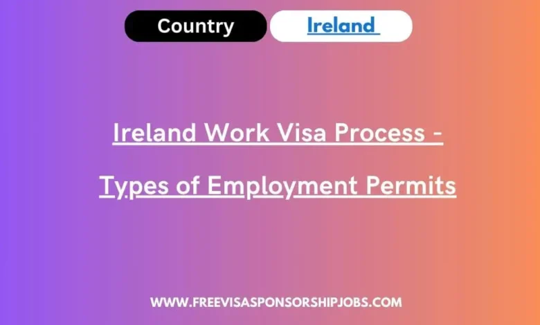 Ireland Work Visa Process - Types of Employment Permits