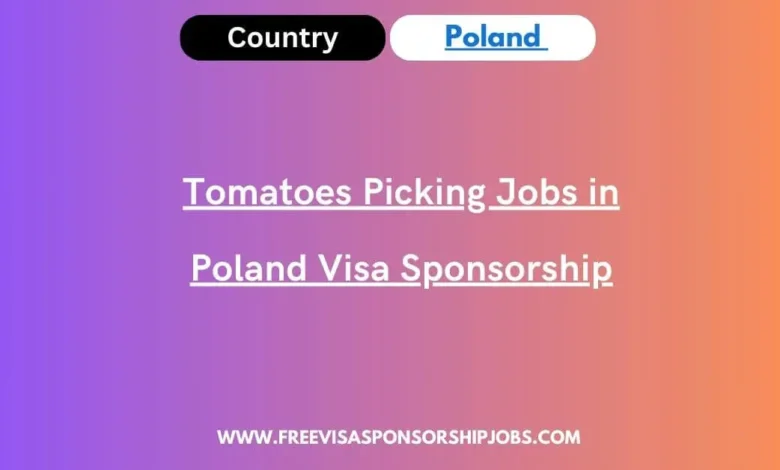 Tomatoes Picking Jobs in Poland