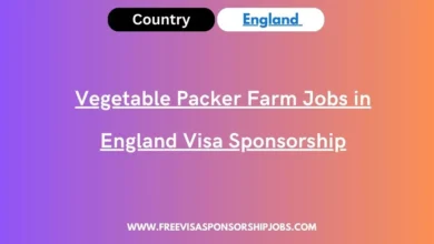 Vegetable Packer Farm Jobs in England