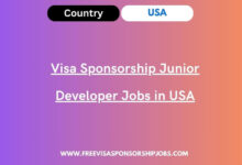 Visa Sponsorship Junior Developer Jobs in USA