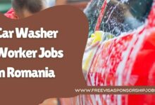 Car Washer Worker Jobs in Romania