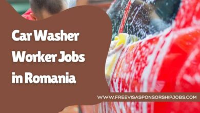 Car Washer Worker Jobs in Romania